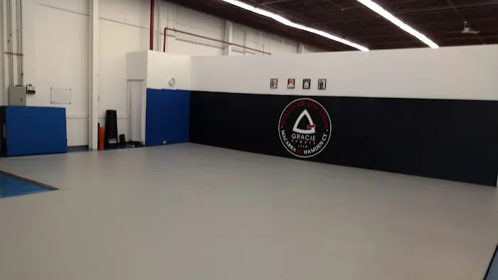 Apex Krav Maga Picture 8