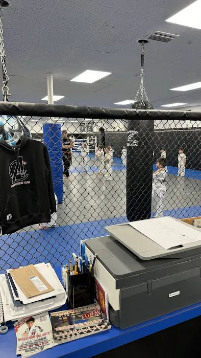 Ultimate MMA & Jiu-jitsu Training Center Picture 7