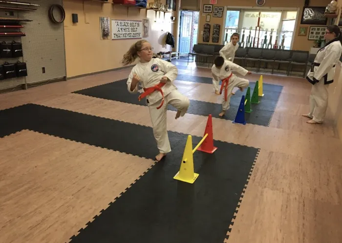 Pereira's Academy of Karate Picture 1