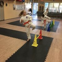 Pereira's Academy of Karate ico
