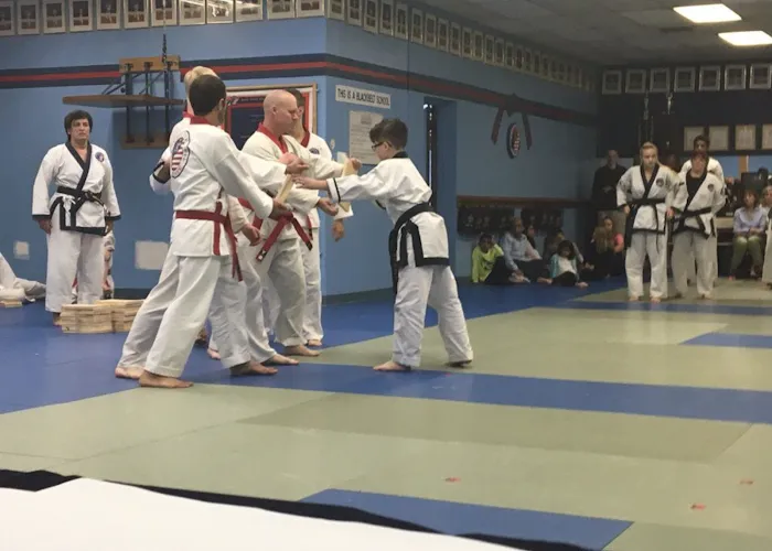 Pereira's Academy of Karate Picture 2