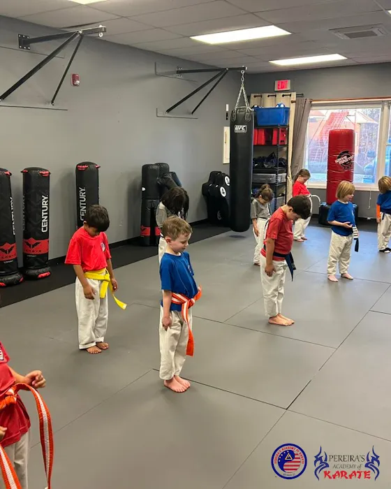 Pereira's Academy of Karate Picture 3