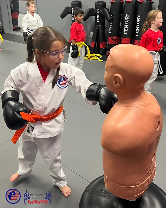 Pereira's Academy of Karate Picture 9