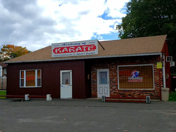 Beaudoin Academy of Karate Picture 1