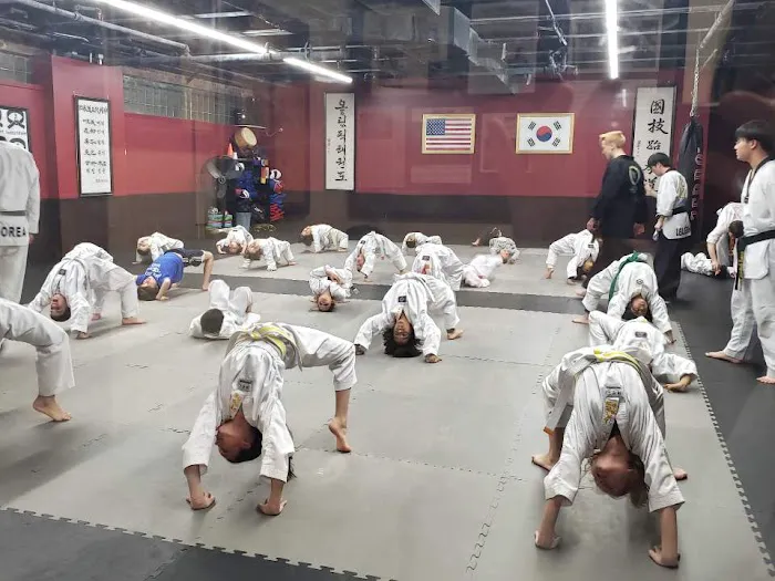 Olympic Taekwondo Academy farmington Picture 1