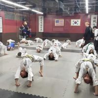 Olympic Taekwondo Academy farmington ico