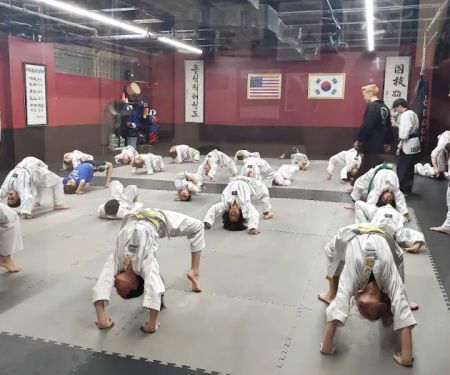 Olympic Taekwondo Academy farmington