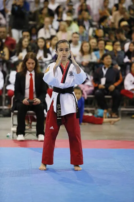 Olympic Taekwondo Academy farmington Picture 3