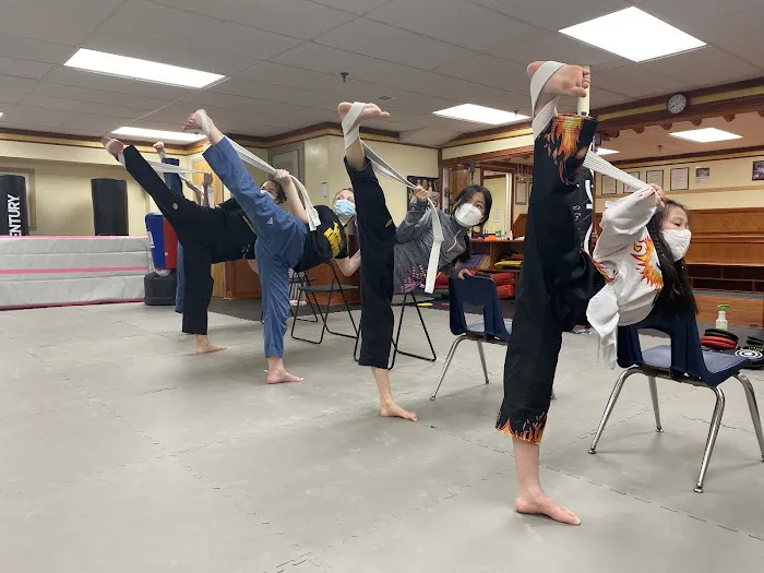 Olympic Taekwondo Academy farmington Picture 8