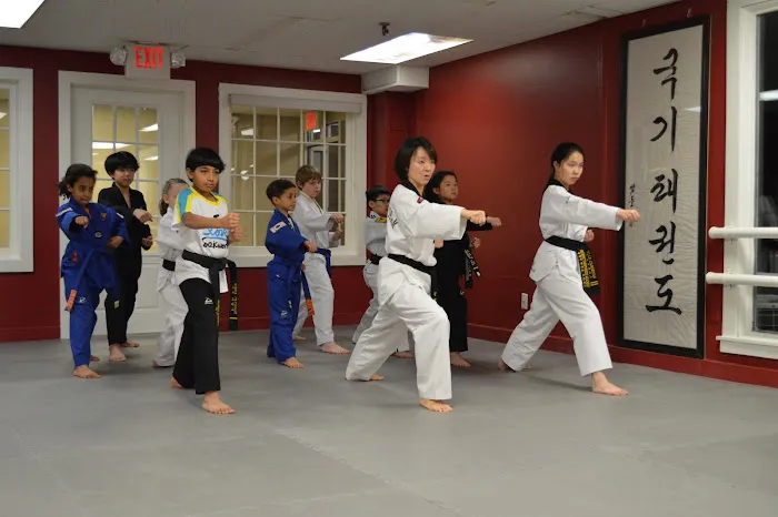 Olympic Taekwondo Academy farmington Picture 7