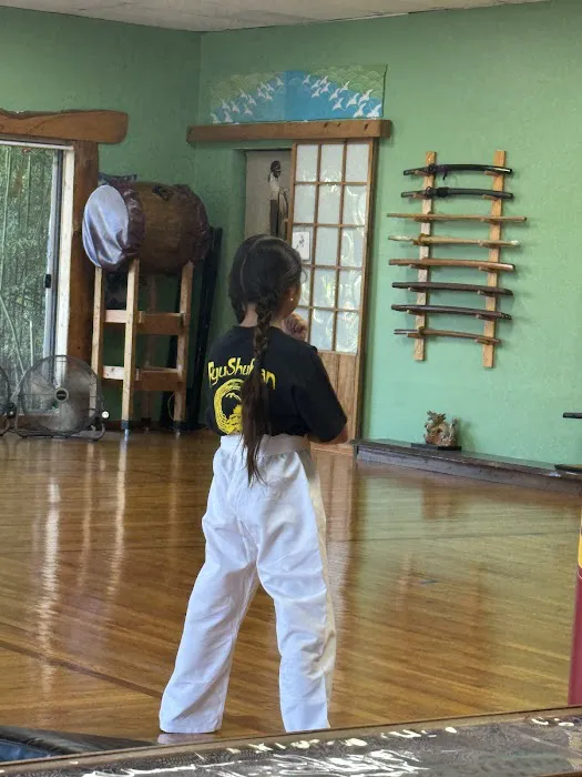 Ryu Shu Kan Karate Kendo Judo Martial Arts Center Sachem Farmingville ‍ ‍ ‍ Picture 6