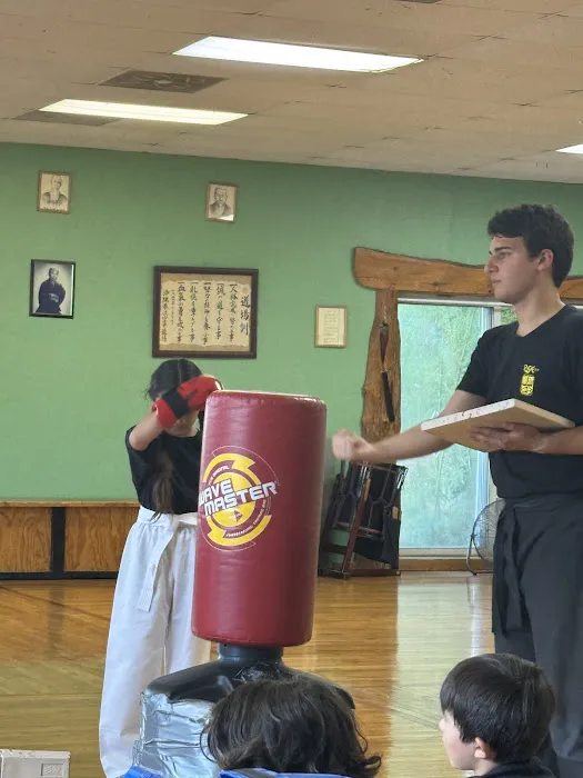 Ryu Shu Kan Karate Kendo Judo Martial Arts Center Sachem Farmingville ‍ ‍ ‍ Picture 9