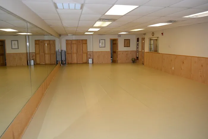 Bushido Martial Arts Academy Picture 2