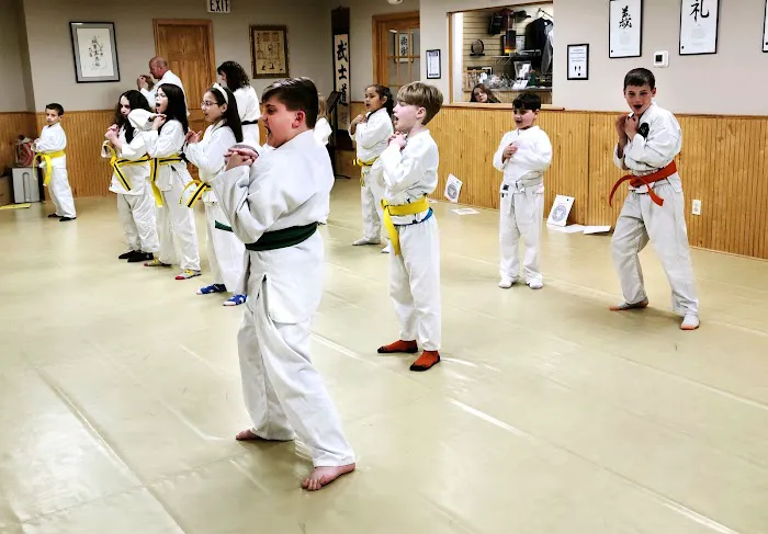 Bushido Martial Arts Academy Picture 3