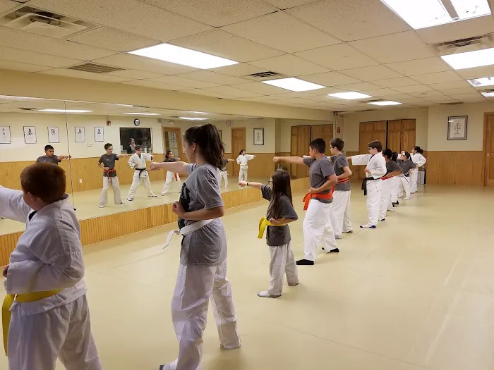 Bushido Martial Arts Academy Picture 6