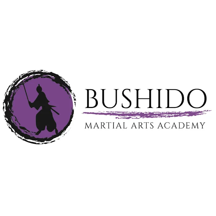 Bushido Martial Arts Academy Picture 5