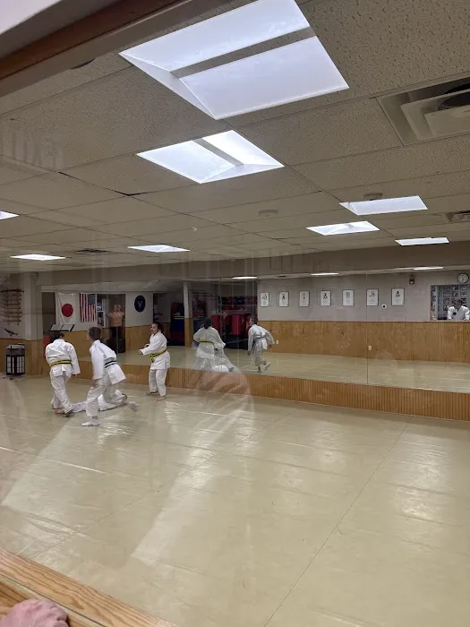 Bushido Martial Arts Academy Picture 4