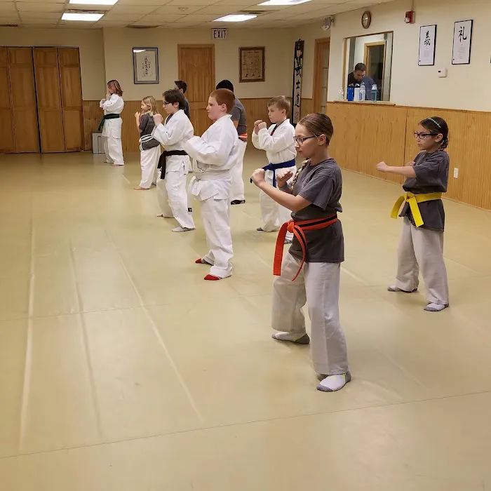 Bushido Martial Arts Academy Picture 7