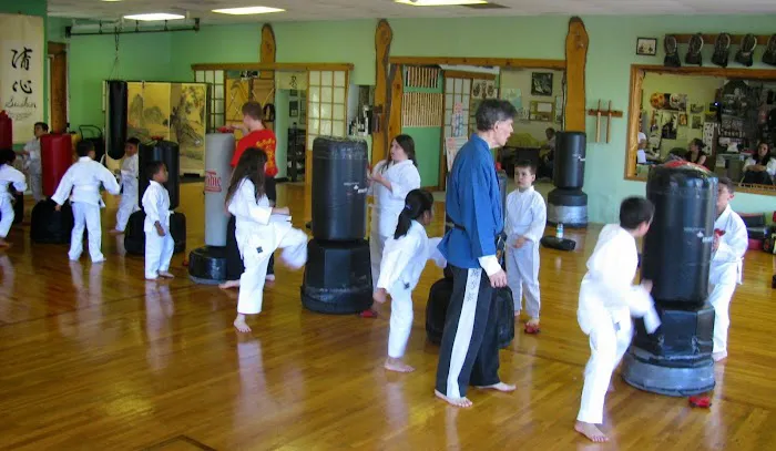 L.I.'s Family Karate Center Picture 5