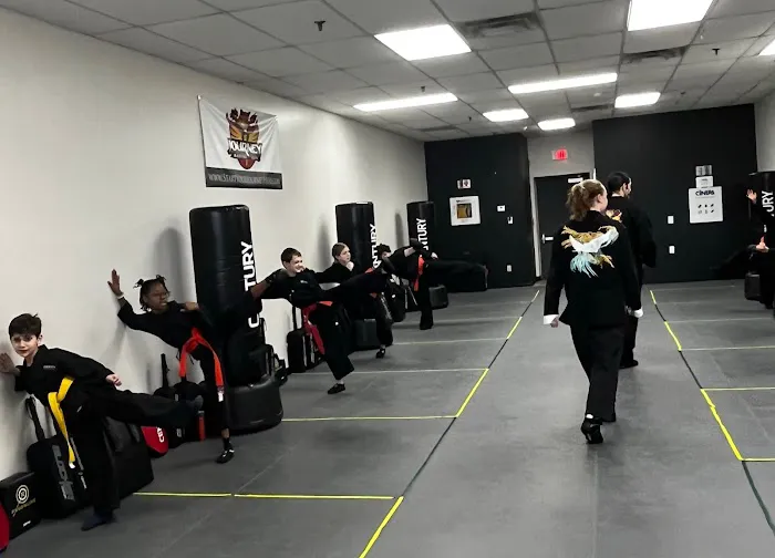 Journey Martial Arts Picture 2