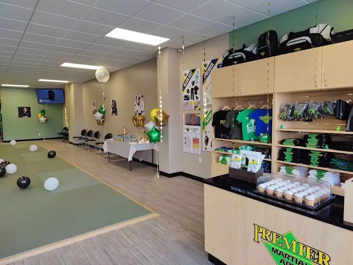 Premier Martial Arts Latham Picture 2