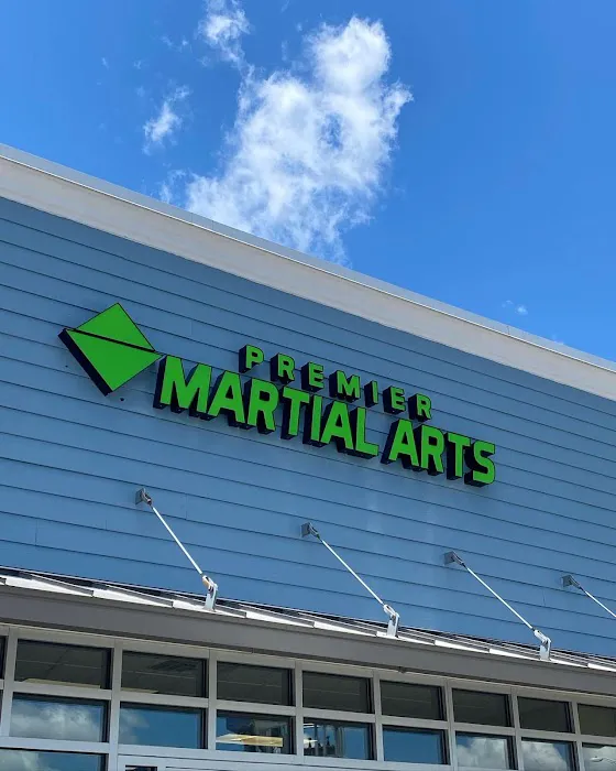 Premier Martial Arts Latham Picture 4