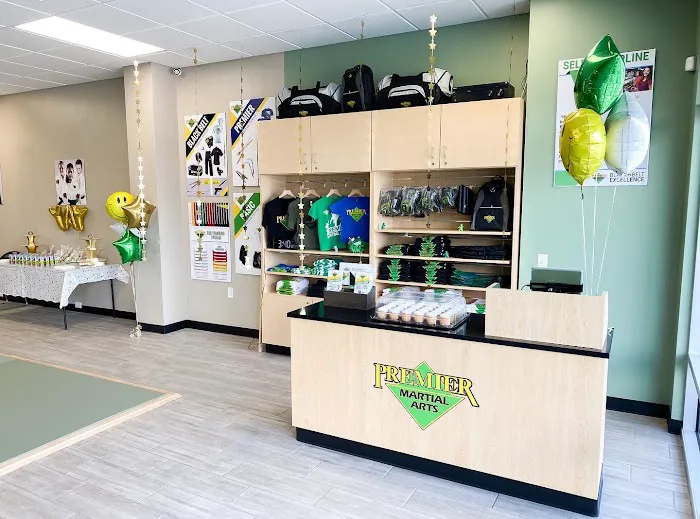 Premier Martial Arts Latham Picture 9