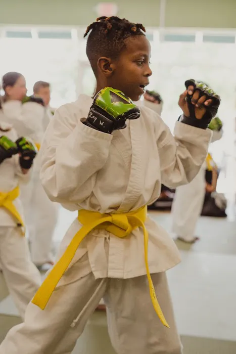 Premier Martial Arts Latham Picture 10