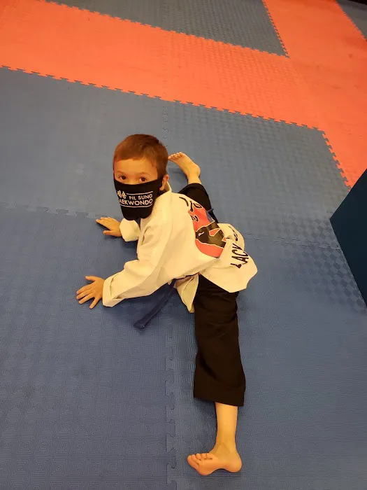 Pil Sung Taekwondo Karner Plaza Picture 1