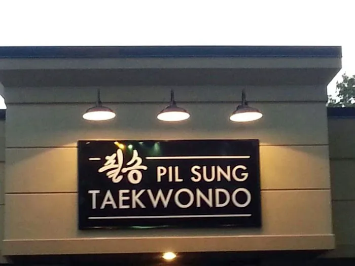 Pil Sung Taekwondo Karner Plaza Picture 6