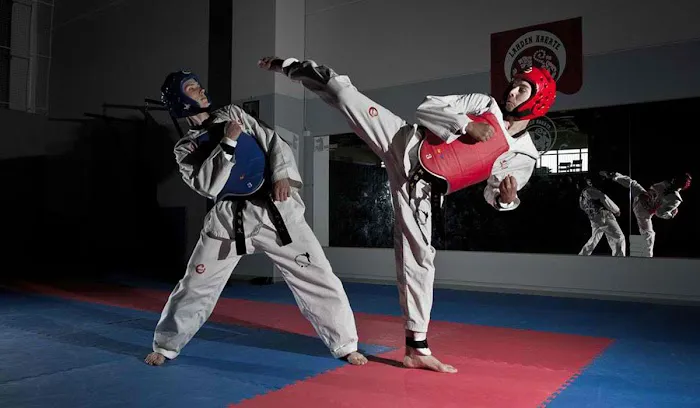 Brunswick Lee's Tae Kwon Do Picture 1