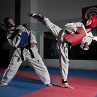 Brunswick Lee's Tae Kwon Do ico