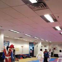 Mechelle's Way Tae Kwondo ico