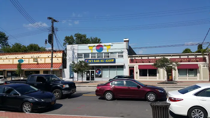 Pai's Taekwondo Picture 2