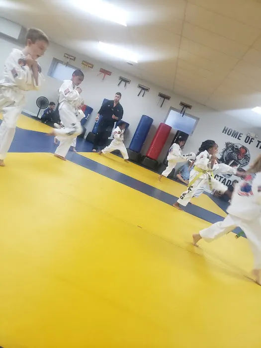 Pai's Taekwondo Picture 8