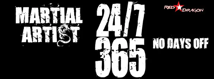 Master Pagano's Red Dragon Martial Arts Picture 2