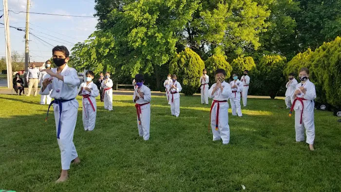 Dragon Martial Arts Yong Moo Do Kwan Picture 4