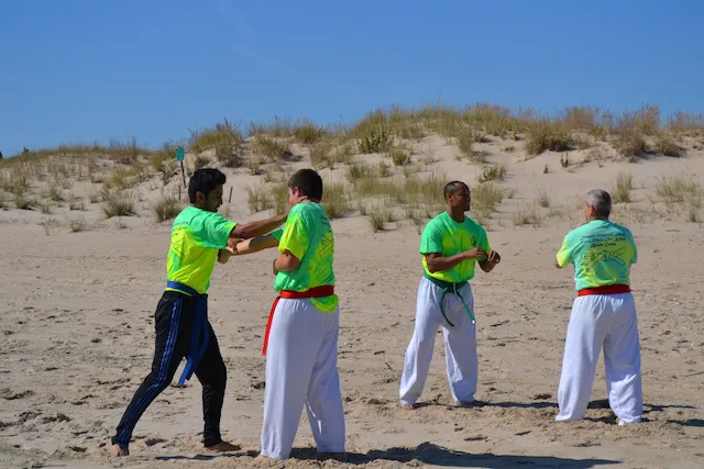 Dragon Martial Arts Yong Moo Do Kwan Picture 7