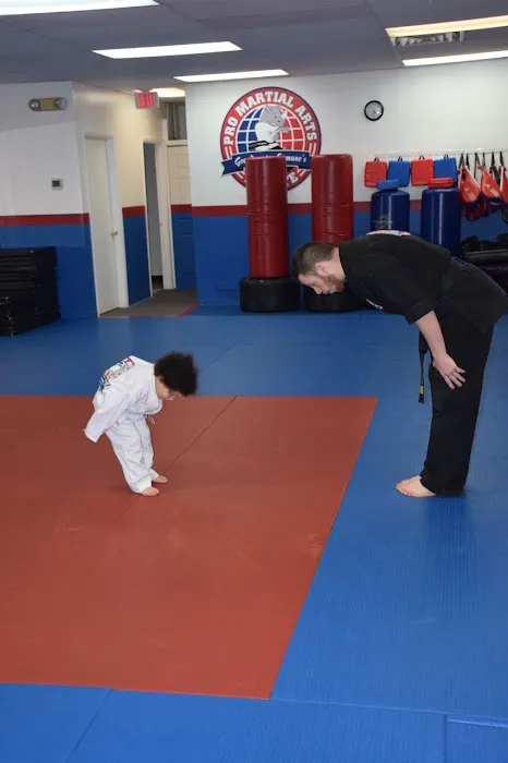 PRO Martial Arts Wilmington Picture 1