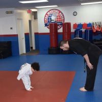 PRO Martial Arts Wilmington ico