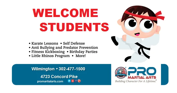 PRO Martial Arts Wilmington Picture 2