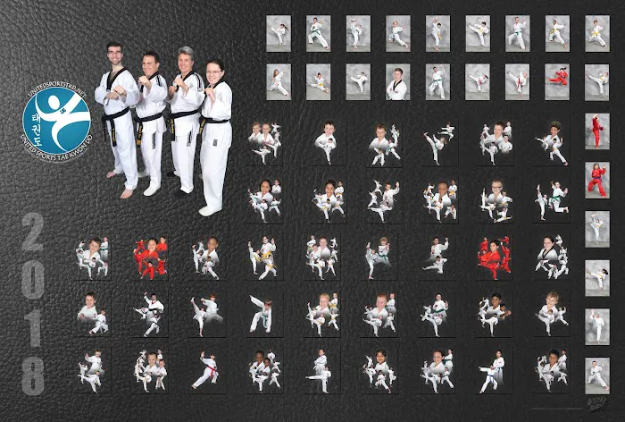 Lupo Taekwondo Picture 9