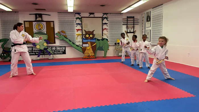 Mahato Karate Picture 2