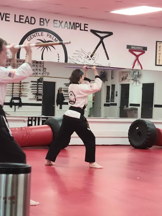 Gentle Palm Martial Arts Center Picture 1