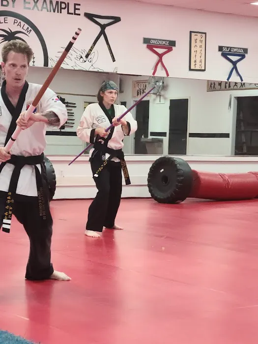 Gentle Palm Martial Arts Center Picture 2