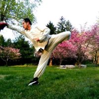 INTEGRATED KUNG FU & MIXED MARTIAL ARTS ACADEMY ico