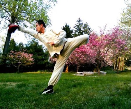 INTEGRATED KUNG FU & MIXED MARTIAL ARTS ACADEMY