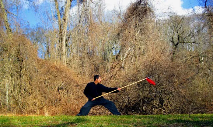 INTEGRATED KUNG FU & MIXED MARTIAL ARTS ACADEMY Picture 2