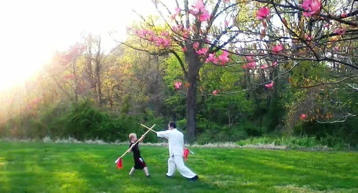 INTEGRATED KUNG FU & MIXED MARTIAL ARTS ACADEMY Picture 7