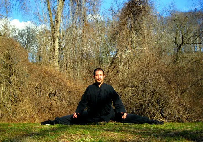 INTEGRATED KUNG FU & MIXED MARTIAL ARTS ACADEMY Picture 8